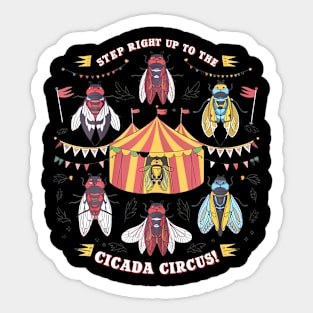 Cicadas Circus Festival, Cicada Lifecycle, Festival Sticker